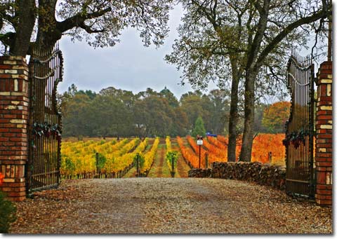Winery Gates